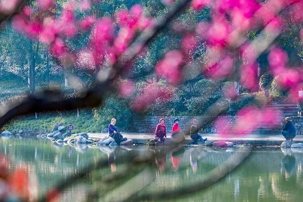 爱旅行的芭比