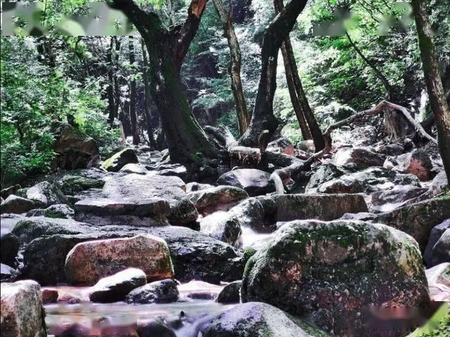 中企承建的斯里兰卡科伦坡港口高架桥合龙