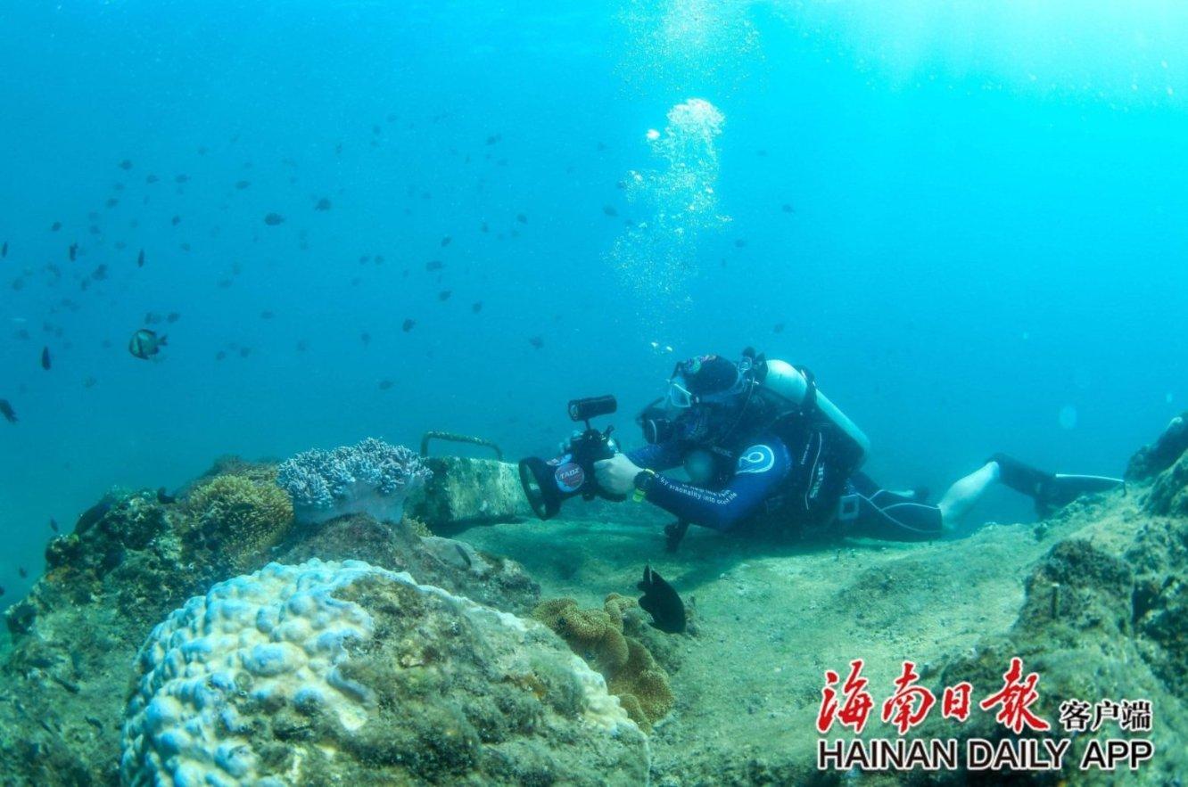 晚到却是“安全王”！沃尔沃全新旗舰轿车或年内上市，安全感不减