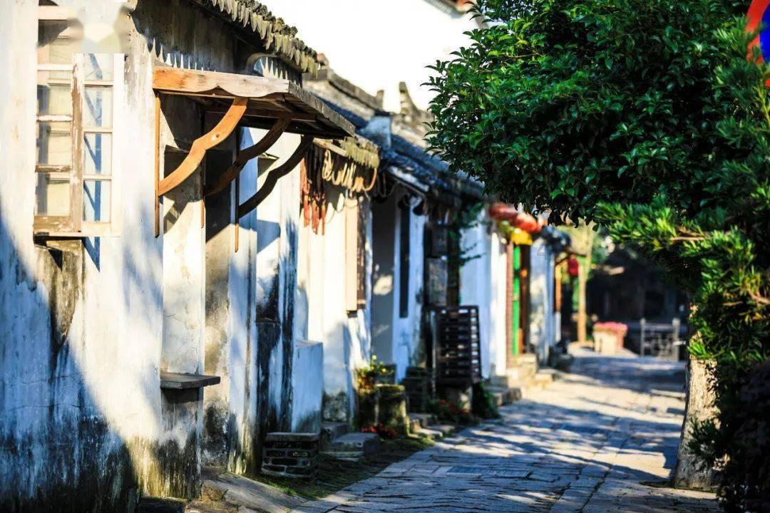 陈氏三父子：大哥延年牺牲后，陈独秀预知到次子乔年的死亡